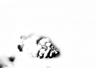 Cyprine-hades-emoi-photo-nancy