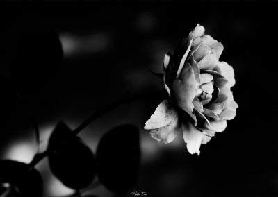 For-every-shadow-Hades-Emoi-Photographe-Nancy