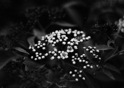 I-Protect-You-Hades-Emoi-Photographe-Nancy