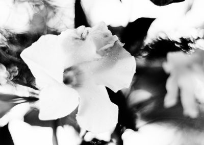 L-amour-a-s-aveugler-Hades-emoi-photographe-nancy