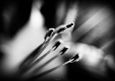 One-year-ago-Hades-Emoi-Photographe-Nancy