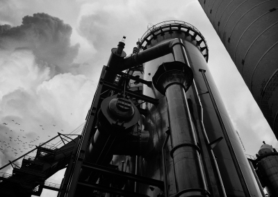 Vous-ne-voulez-pas-la-verite