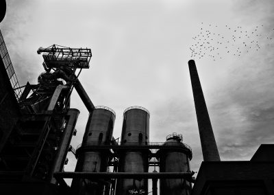 hades-emoi-photographe-nancy-the-dark-soul-of-birds