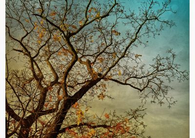 And the autumn showed its best side