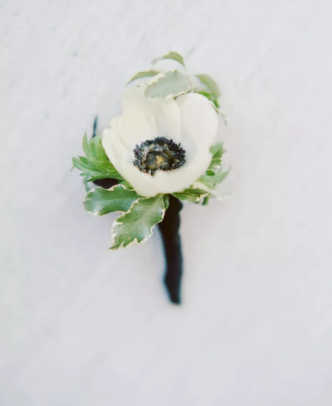 anemone Mariage Nancy Lorraine anemone Mariage Nancy Lorraine