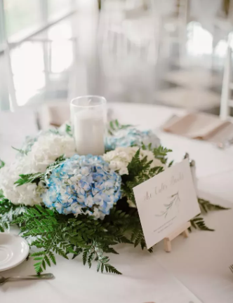 hortentia Mariage Nancy Lorraine hortentia Mariage Nancy Lorraine